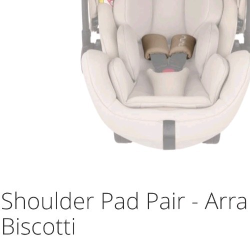 Nuna car seat - car,